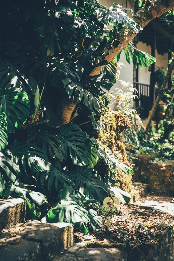 Hotel Hacienda Baza Tibana Buitenkant foto
